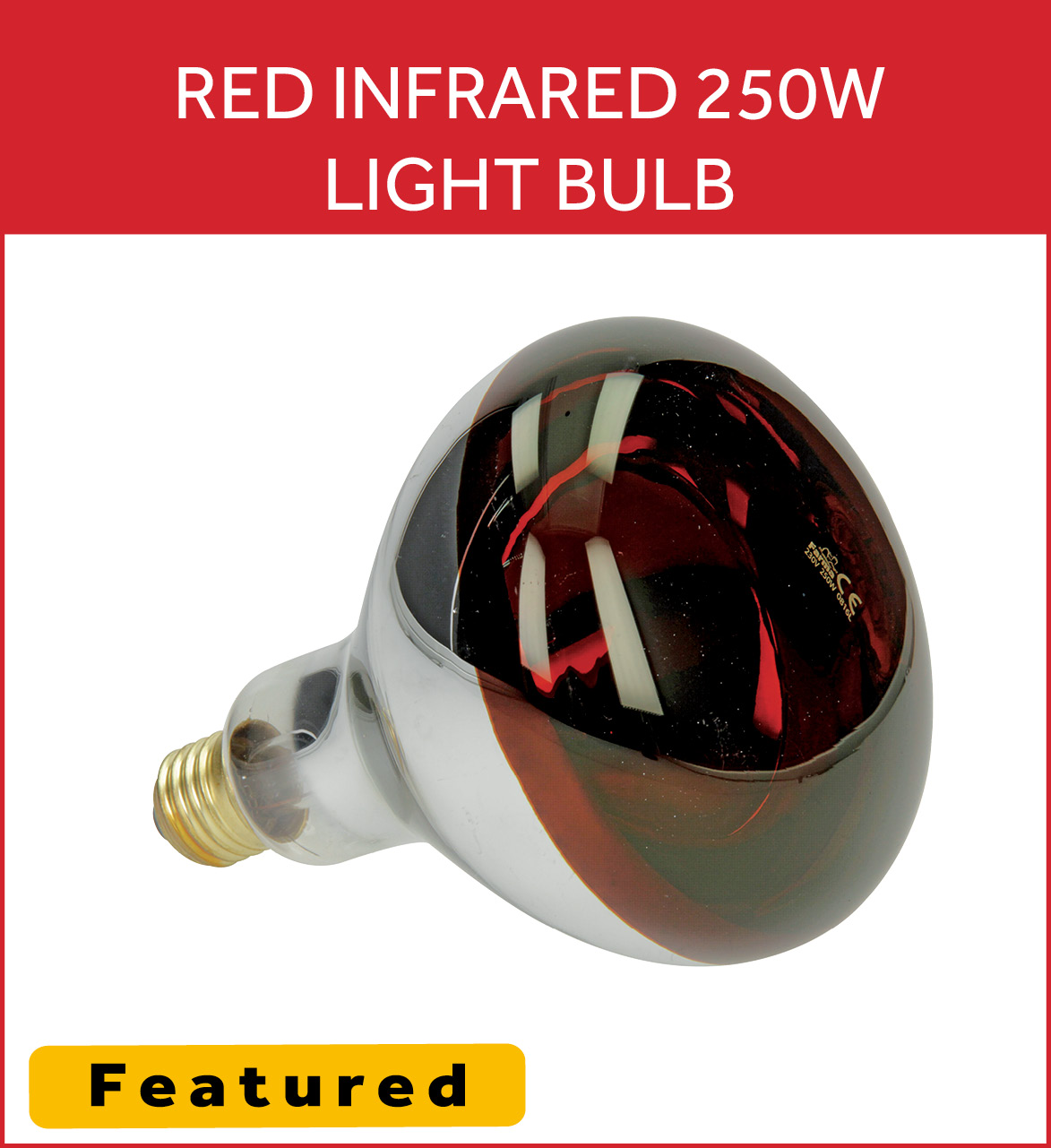 Red Infrared 250W Light Bulb